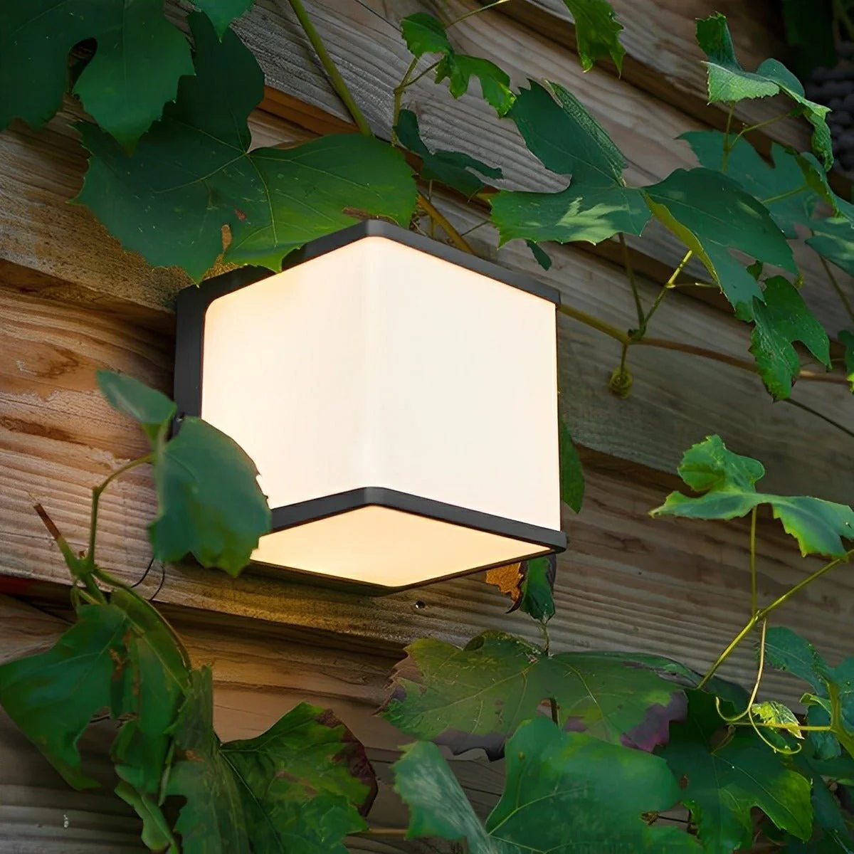 Outdoor Wall Lights